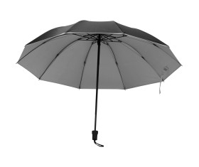 Parapluie avec intérieur argenté